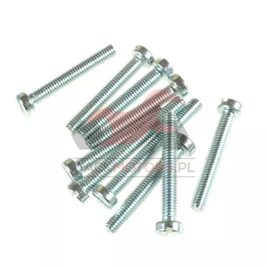 ŚRUBY KARTERÓW SILNIKA MZ ETZ 250 FEZ KPL - Jack Motors - Części i