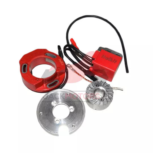 ZAPŁON ITALKIT SELETTRA APRILIA RS 125 ROTAX 122 - Jack Motors